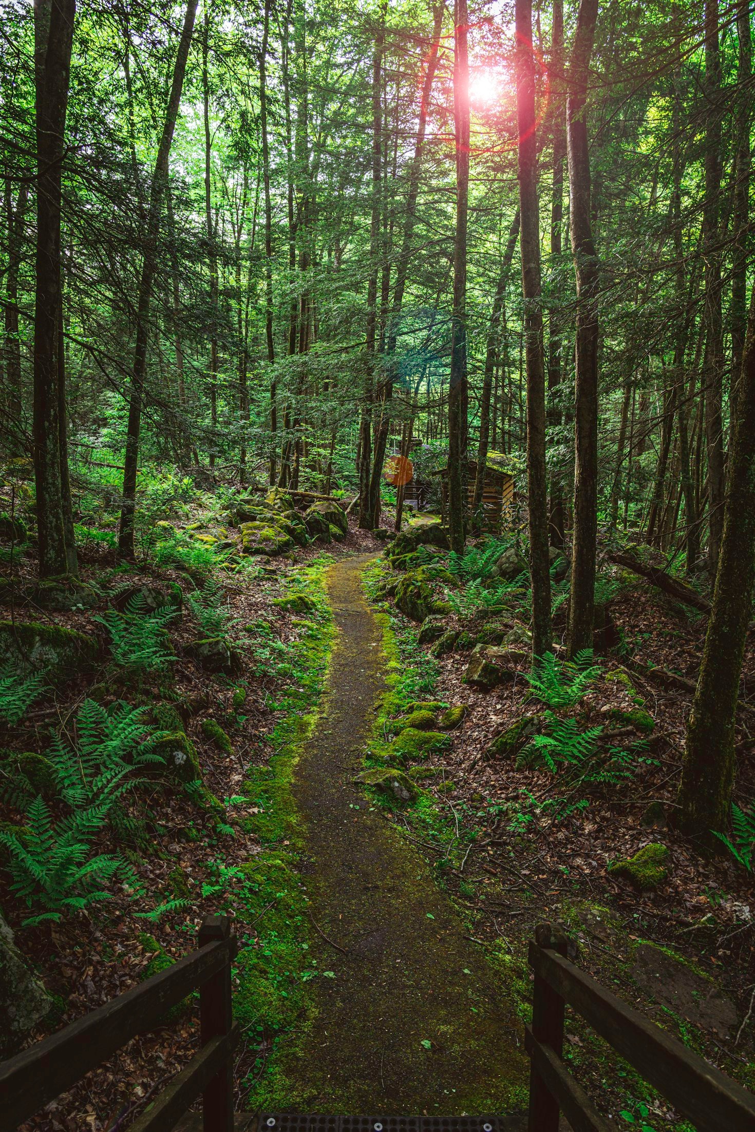 Einblick in die Philosophie von Café Colibri